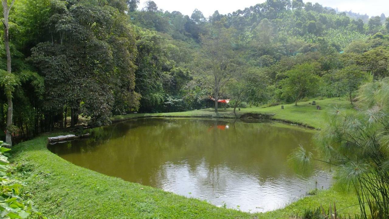 Sonarte Reserva Natural Cordoba  Eksteriør bilde