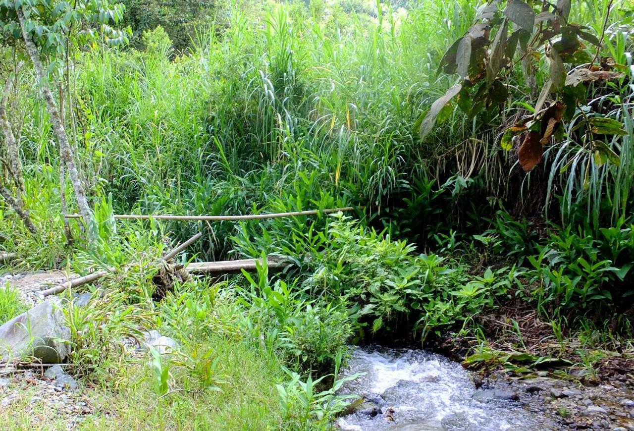 Sonarte Reserva Natural Cordoba  Eksteriør bilde