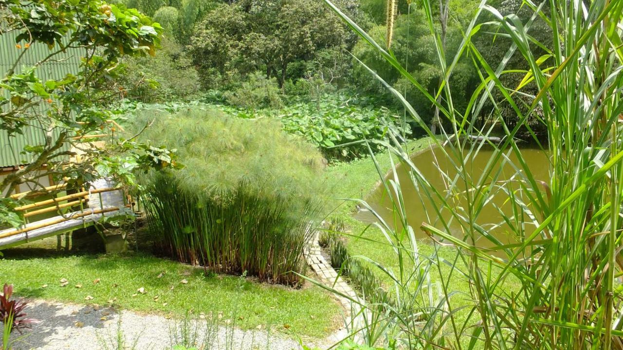 Sonarte Reserva Natural Cordoba  Eksteriør bilde